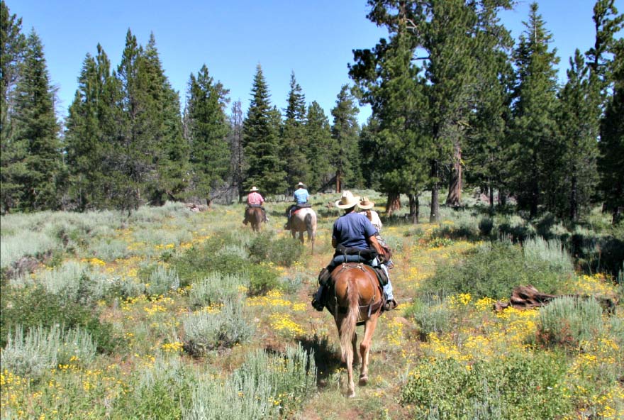 Cedar Grove Activity 1