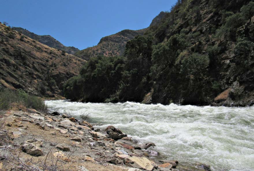 Cedar Grove Activity 2