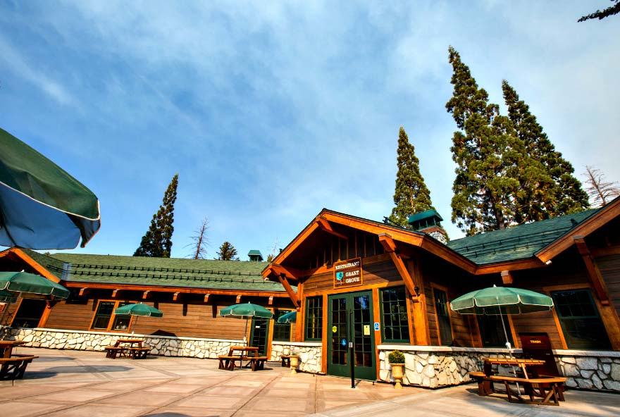 Grant Grove Village Activity 1