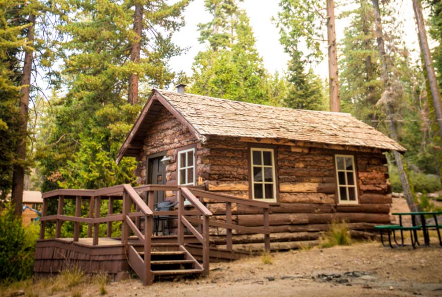 Grant Grove Village Activity 2