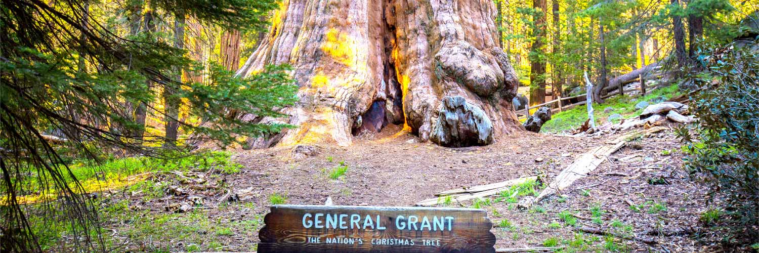 General Grant Tree Banner