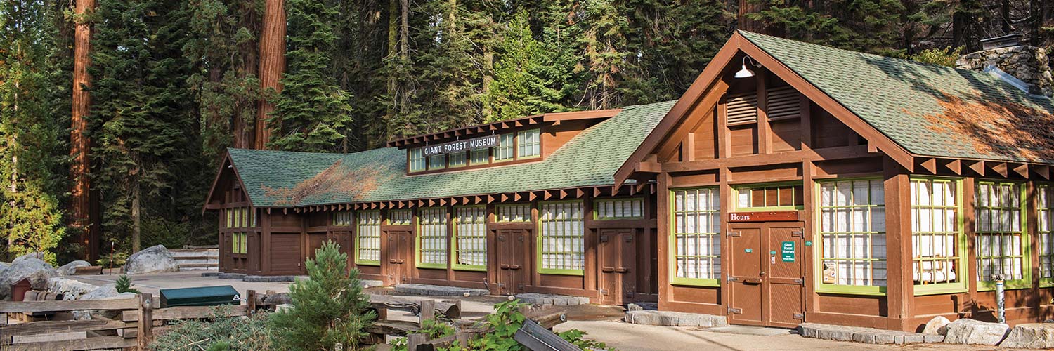 Giant Forest Museum Banner