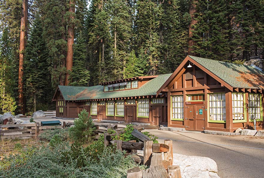 Explore SSF Activities Giant Forest Museum