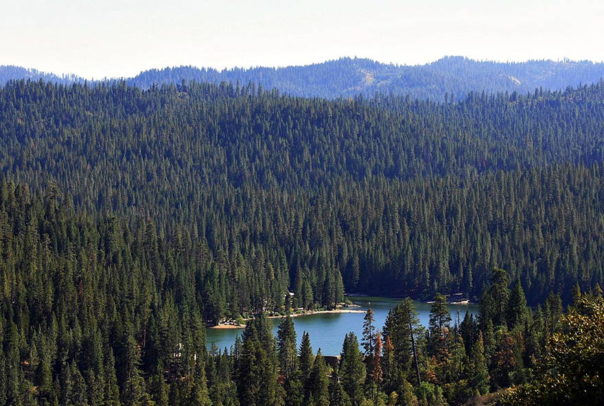 Explore SSF Activities Hume Lake