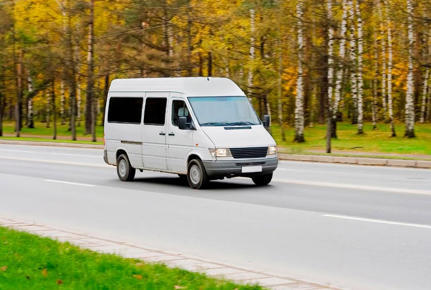 Guided sightseeing tours of Sequoia & Kings Canyon National Parks are offered on a bus