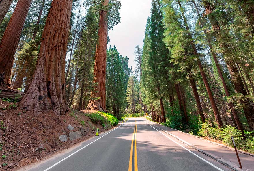 Road with a few construction cones