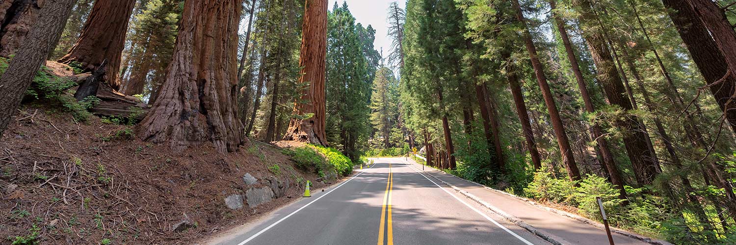 Road with a few construction cones