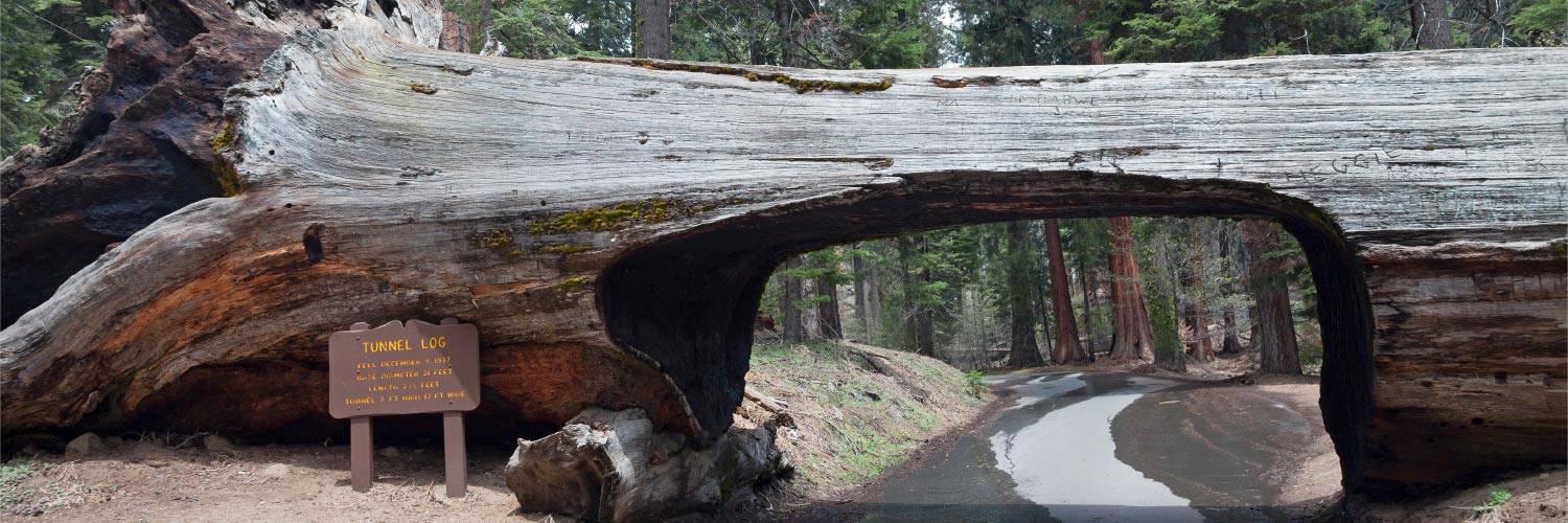 Travel Planning Banner