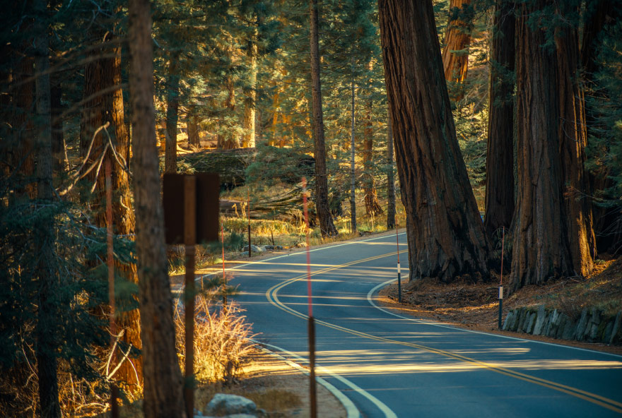 En Route to the Parks