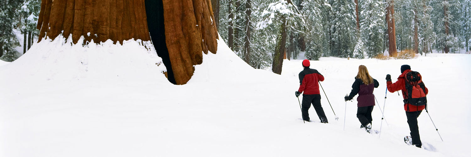 Winter Activities Banner