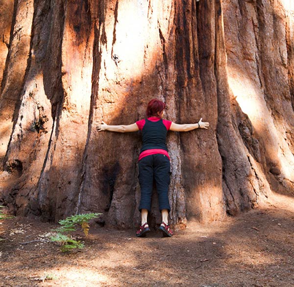 Limited WiFi spotlight