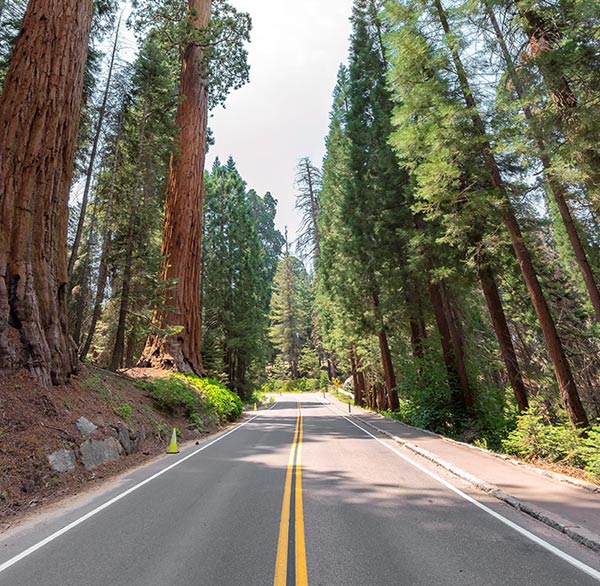 Road Conditions Spotlight