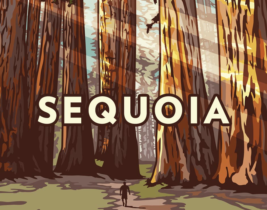 Sequoia National Park