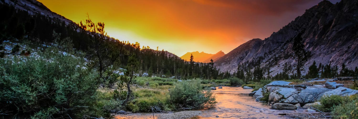 Photo & Video Gallery Banner