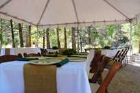 Outdoor wedding reception tables at Sequoia & Kings Canyon National Parks